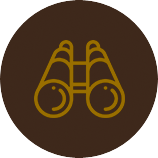 Tầm nhìn
